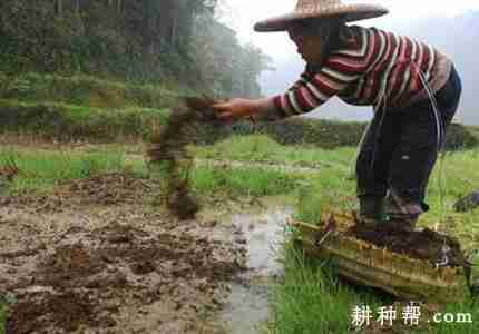 种植莲藕用什么底肥好？